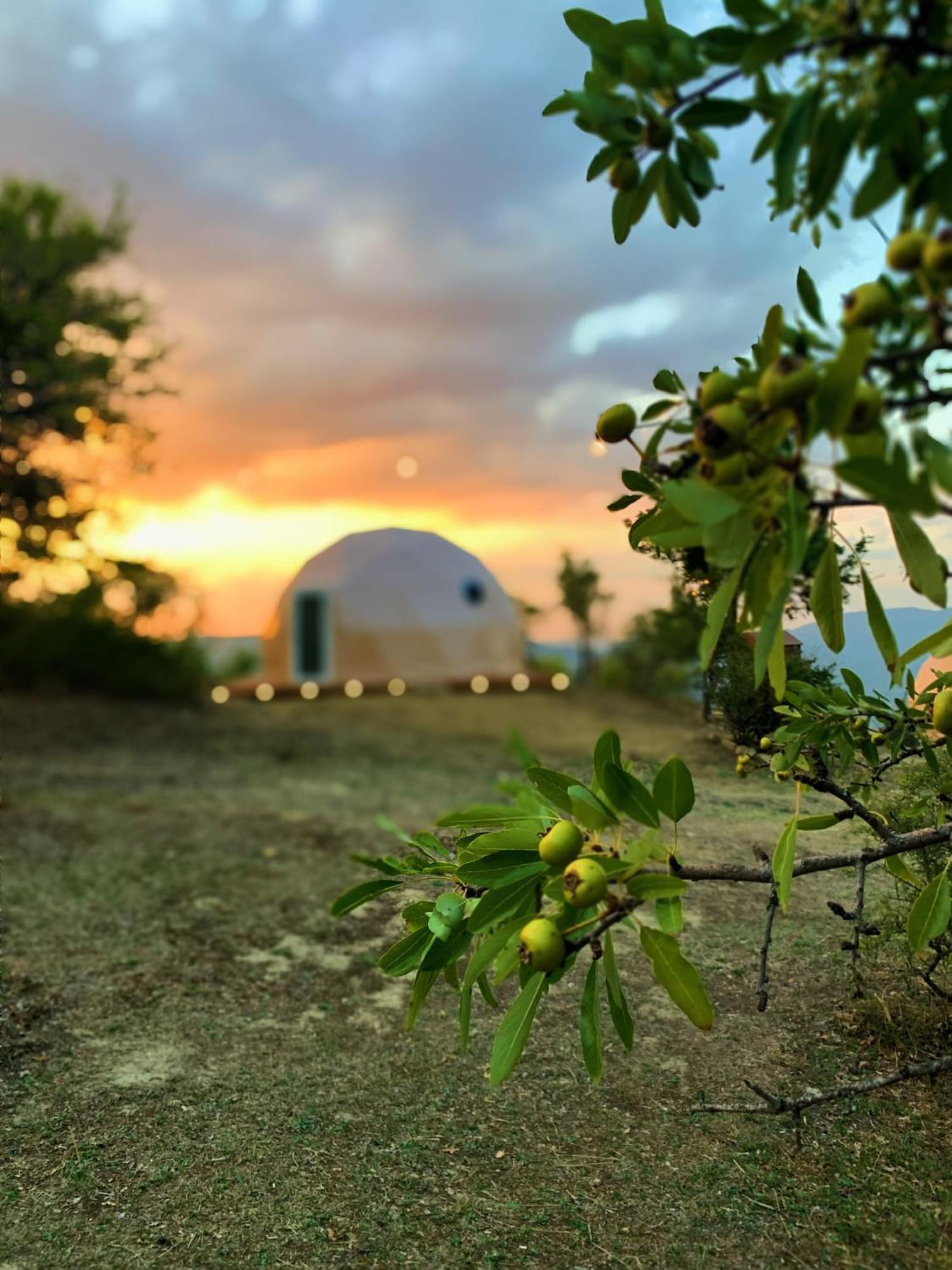 Hotel Aura - Glamping Experience Accettura Exterior foto
